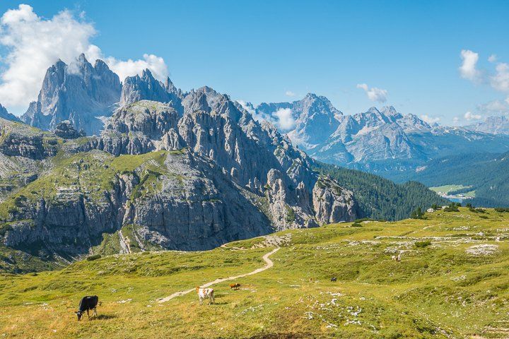Want to see the Dolomites_ Here is a one-week…